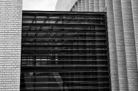 dsc_0248b_resize