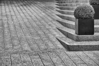 dsc_0287_resize