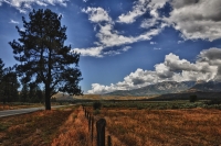 dsc_5559aa_resize
